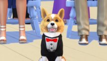 The Sims 4: Cats & Dogs скриншот 2