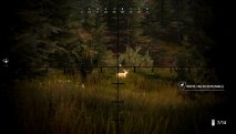 Hunting Simulator 2: Bear Hunter Edition скриншот 3
